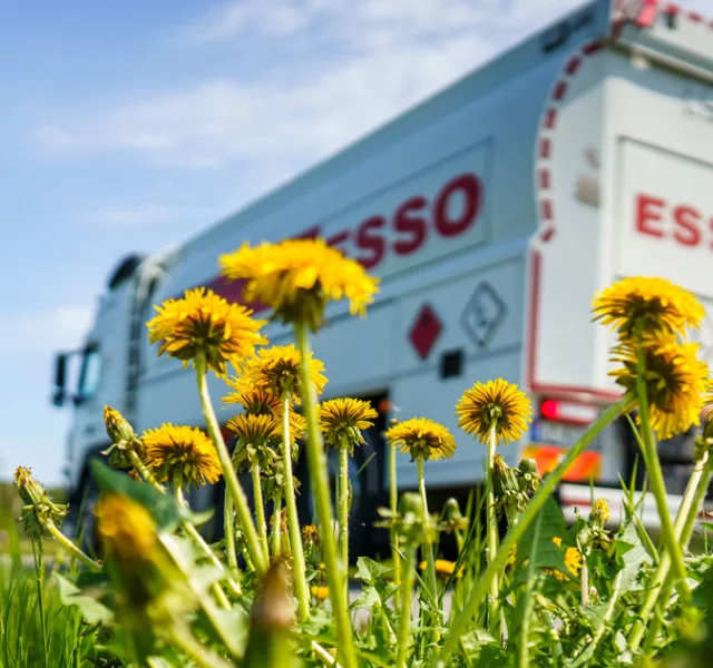 Løvetann med tankbil i bakgrunnen